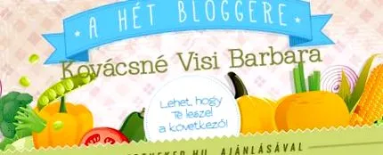 visi блогър