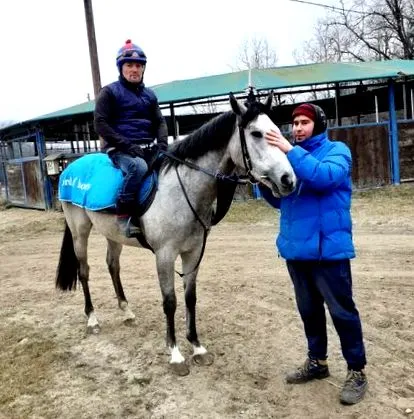 дресьора sándor