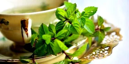 ceaiului verde