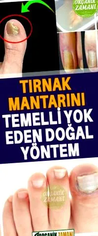 банг йонг