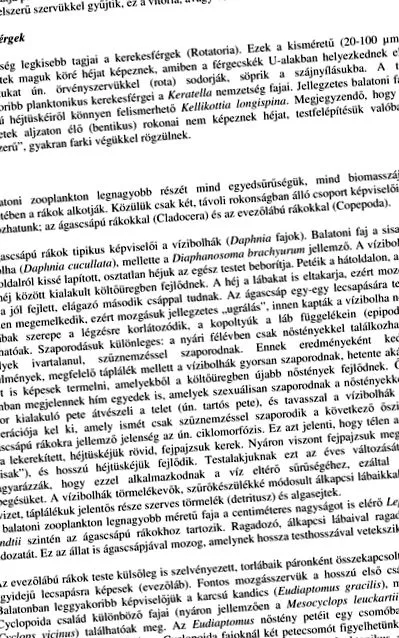 дивата изследване