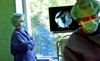 могли шести