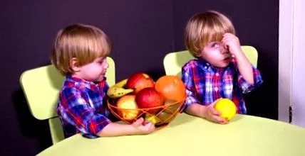 близнаци диета