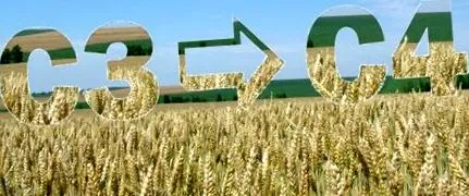 осигури осигури