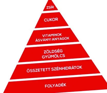 care sunt sportivă