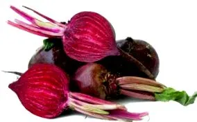 sfeclă roșie