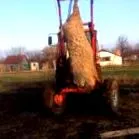 варена нарізана
