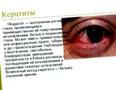 заболяване дирофилариазата