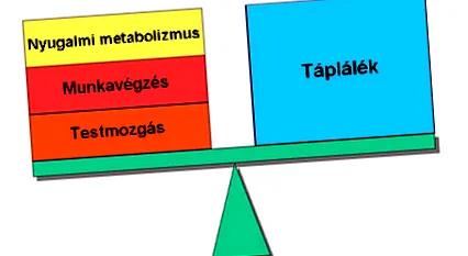 наднормено тегло цифрите