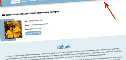 стомах стомах