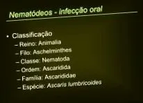 Filo aschelminthes aschelminthes