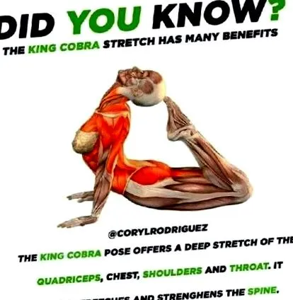 biosiget tanya