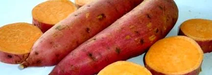 вкусно които