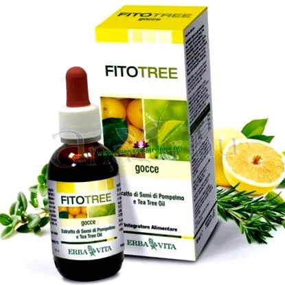 чаено дърво fitotree