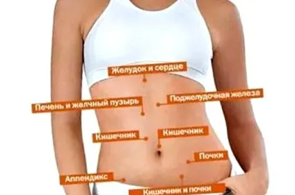 паразитах