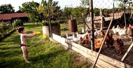 които продават
