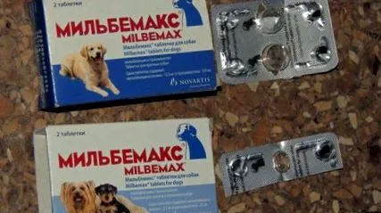 лекарства глисти глисти