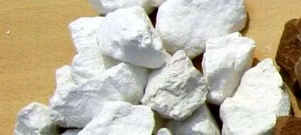 шкіри внутрішніх