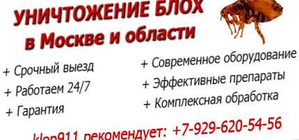 глистів синонім