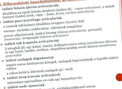 oaselor spinale