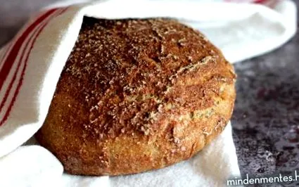 закваски безкоштовна