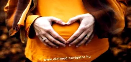 излекувайте система
