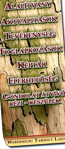 трета възраст