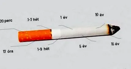 килограми килограми