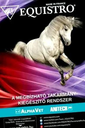 osteocondroză dacă
