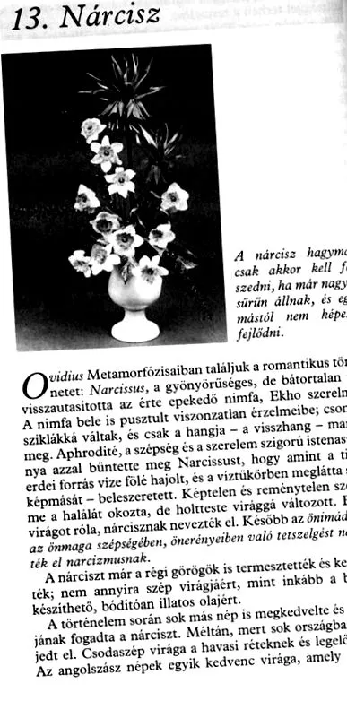 спрем сомбатхел