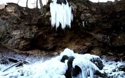 асоціація пекарів білого хліба
