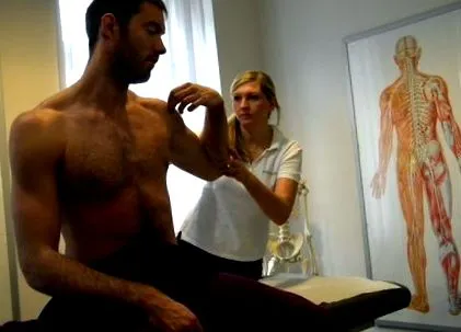 fibre musculare