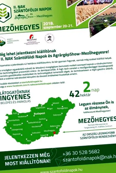 яйчен яйчен