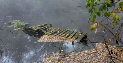 жінка нова