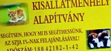 фонд безвідповідальний господар