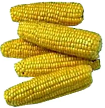 велику кількість