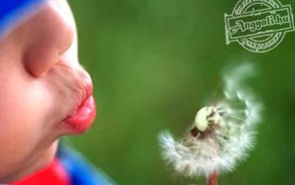 доходи фізичних Фонд Angyali