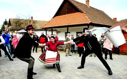 суха култура