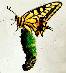 промяна личността