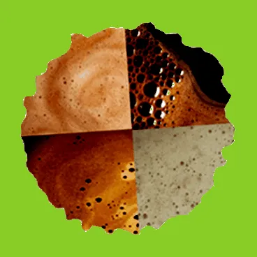 ganoderma здраве