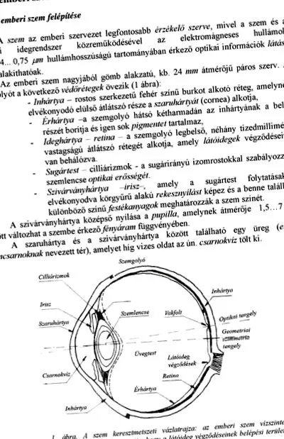 късогледство далекогледство визия