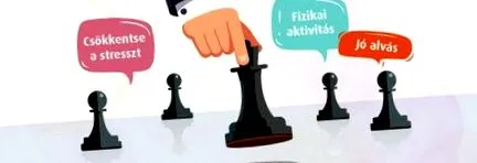 gestionarea strategii
