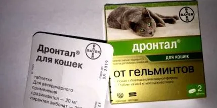 антихелминт мисли