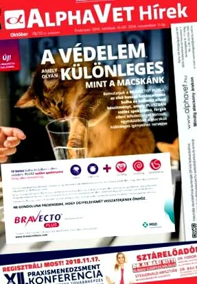 віспи Сінгапурі гострого ентериту