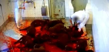 компанії