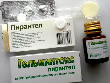 деца всички