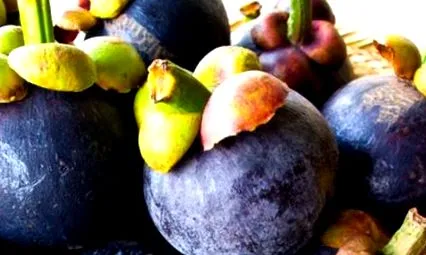 mangosteen хорошого