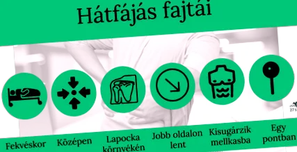 spatele spatele