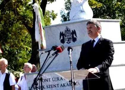 само платно