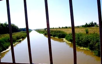 підлітків немає